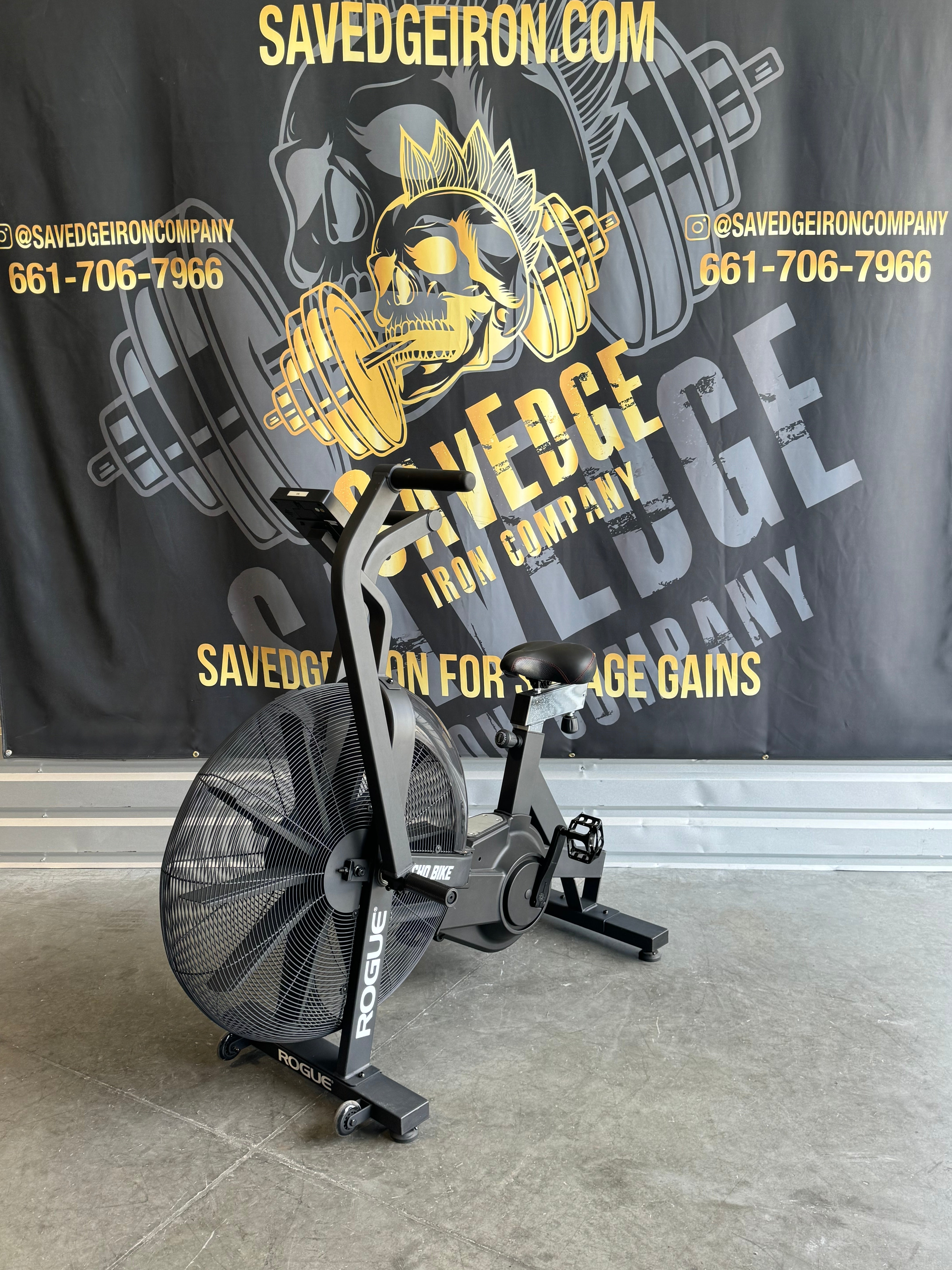 Rogue Echo Bike