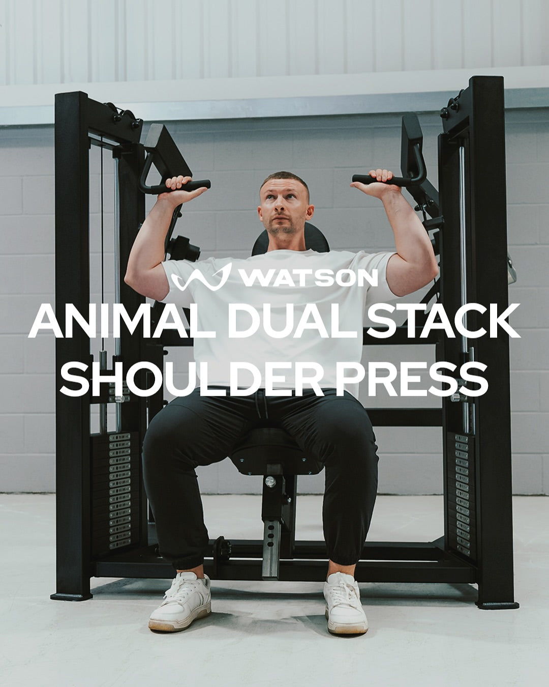 The Animal Dual Stack Shoulder Press