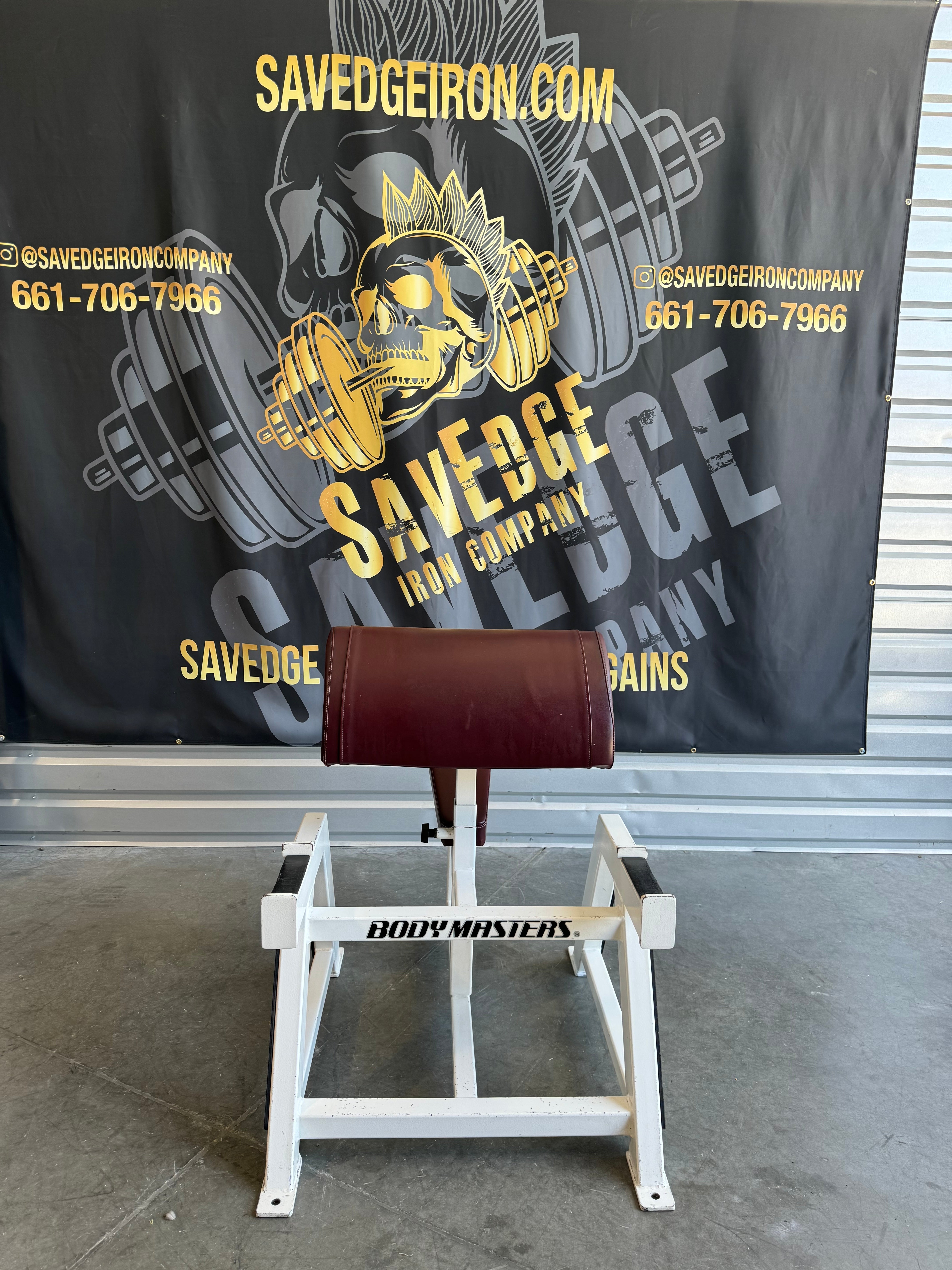 Body Masters Seated Preacher Curl & Spider Curl Combo