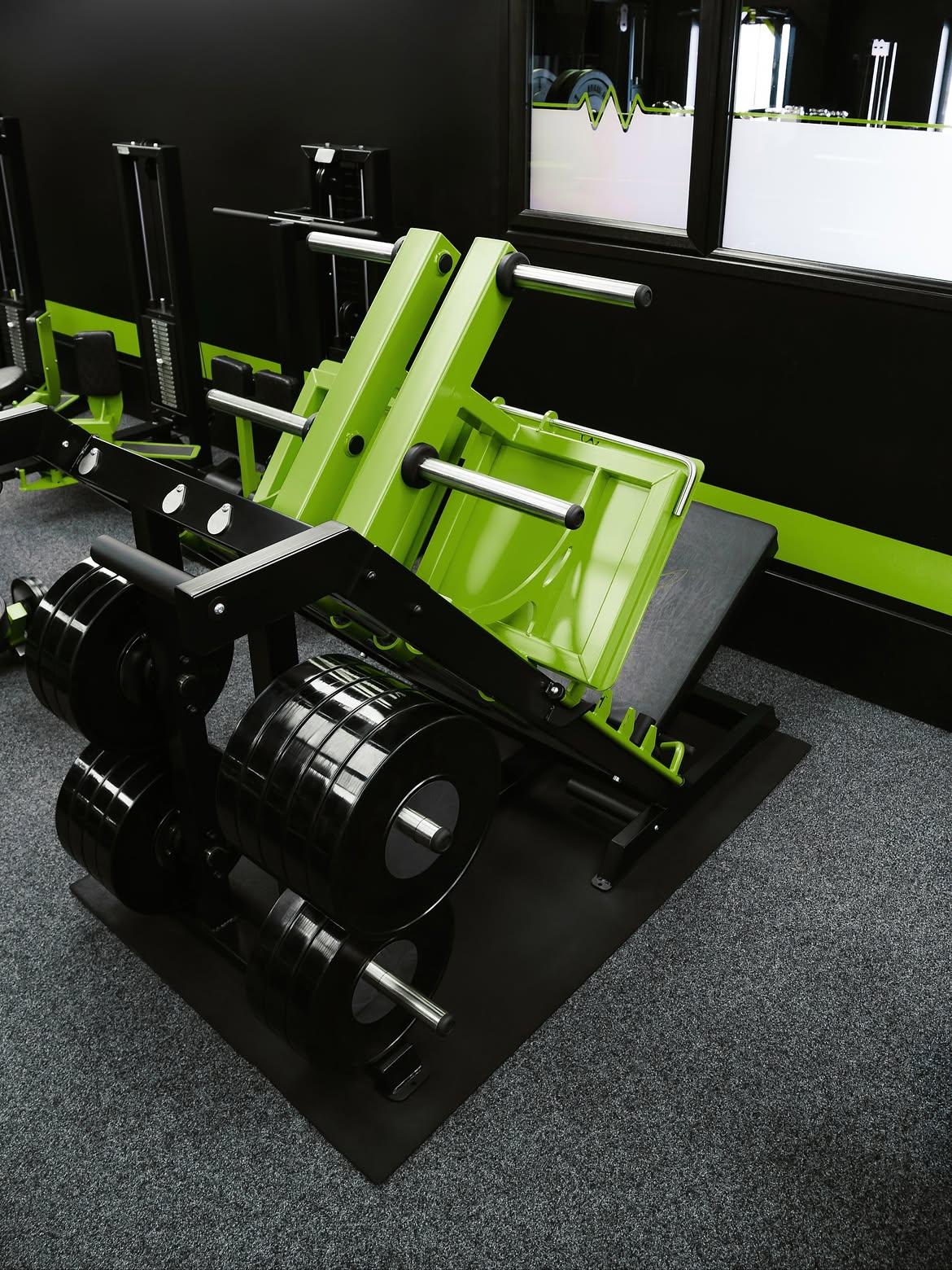 Animal Plate Loaded Leg Press