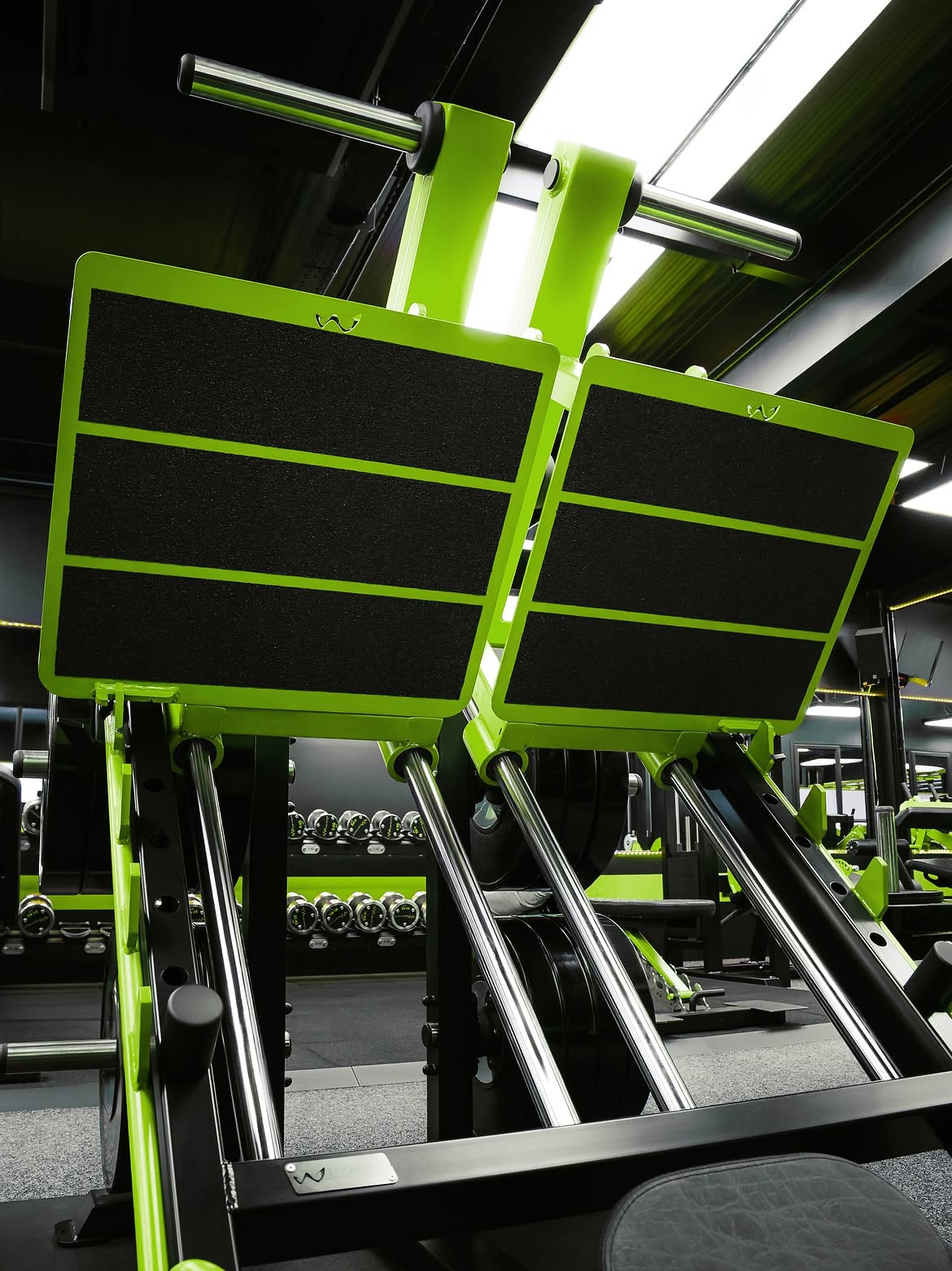 Animal Plate Loaded Leg Press