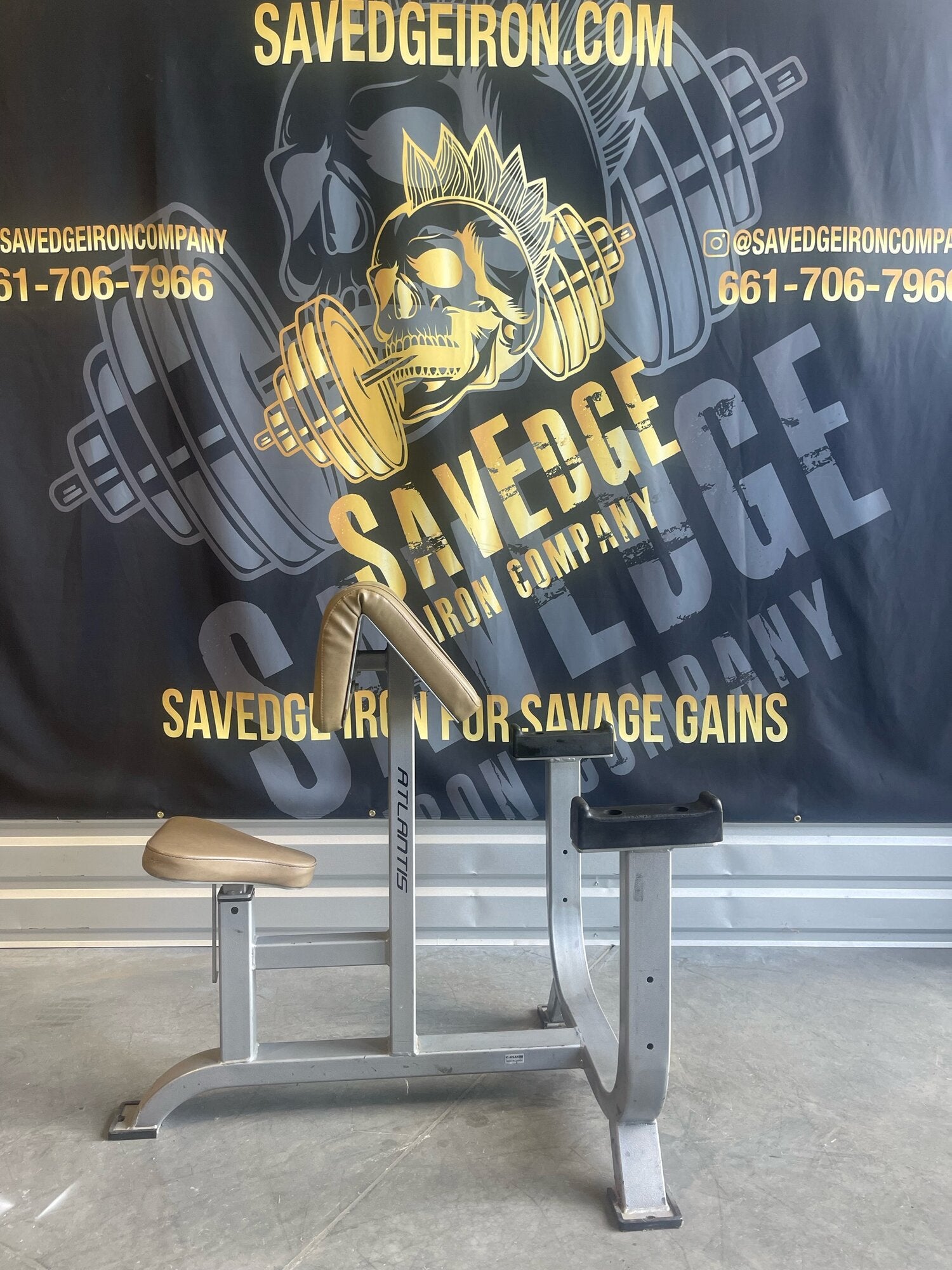 Atlantis Seated Preacher Curl Bench
