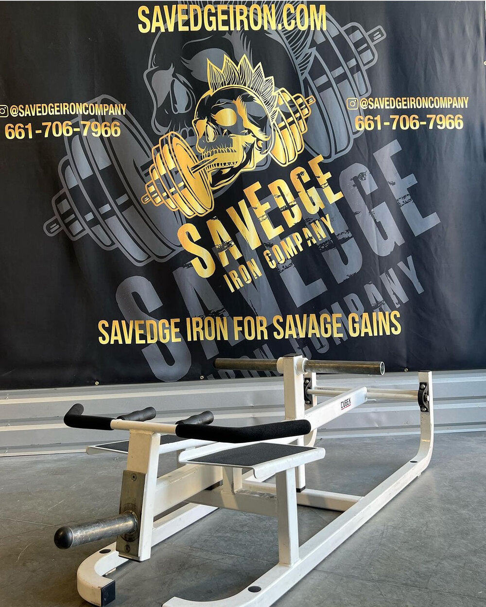 Cybex Standing T-bar Row