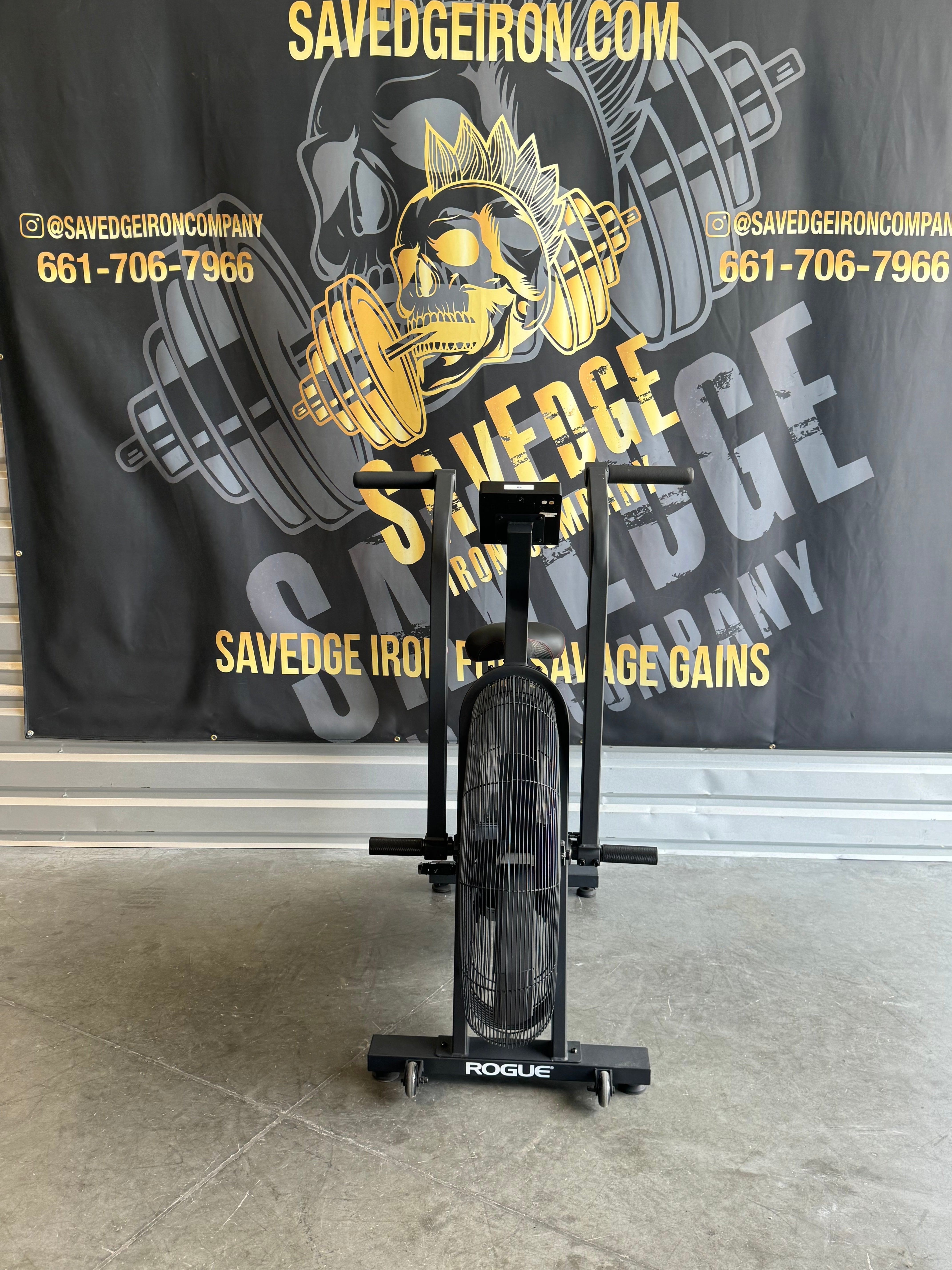 Rogue Echo Bike