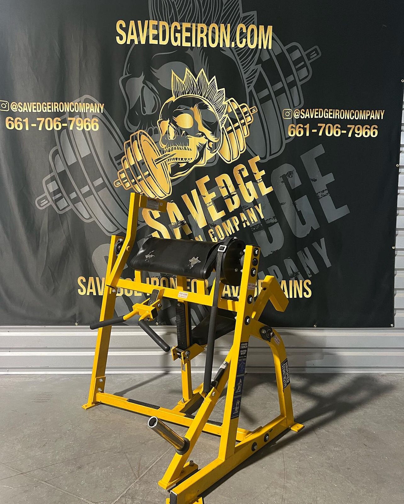 Hammer Strength Seated Bicep Curl