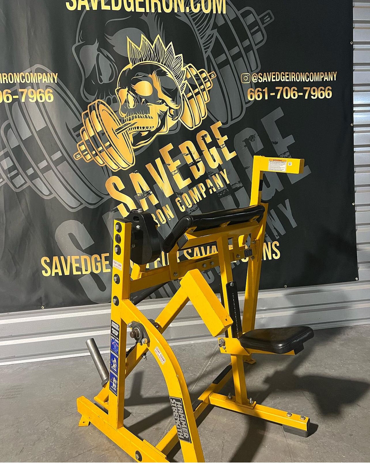 Hammer Strength Seated Bicep Curl