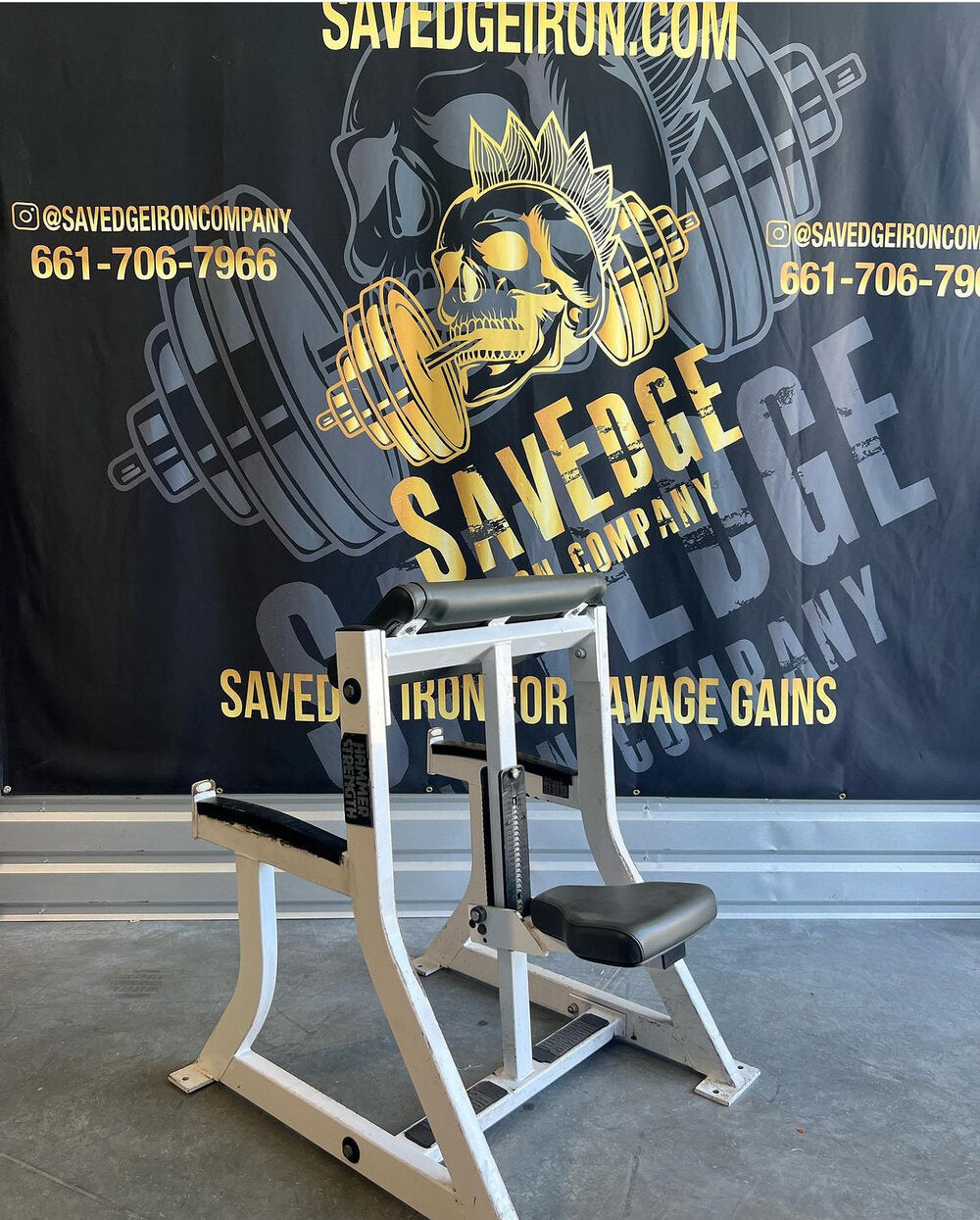 Hammer Strength Seated Preacher Curl