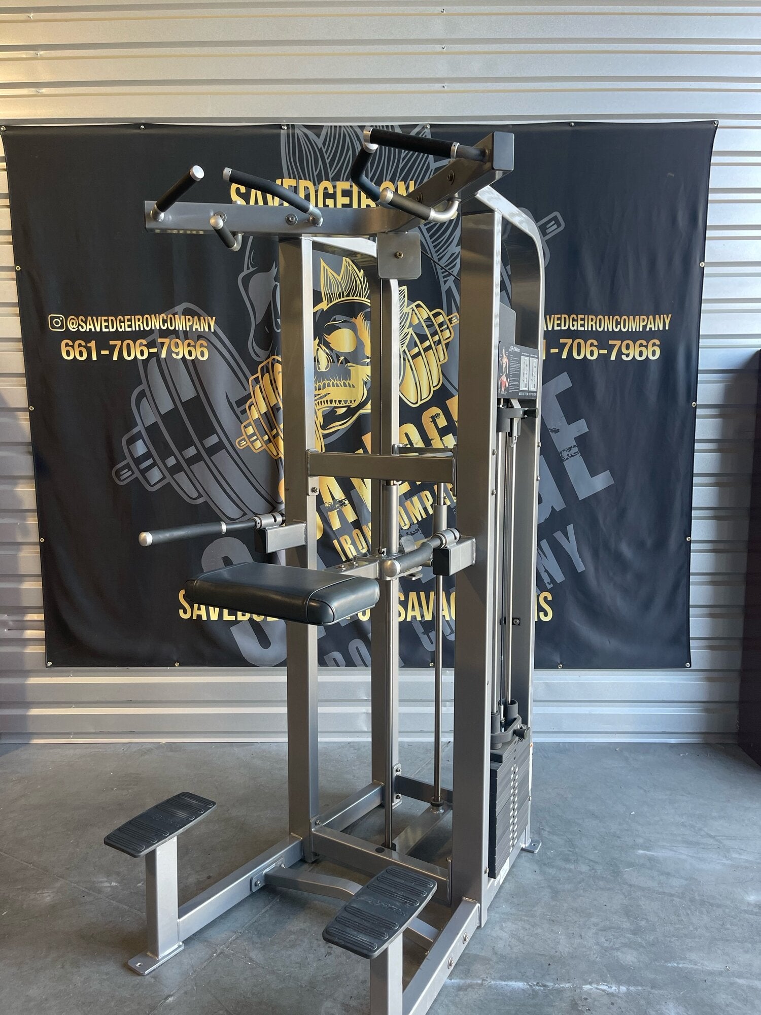 Life Fitness Pro 2 Assisted Dip/Chin Up