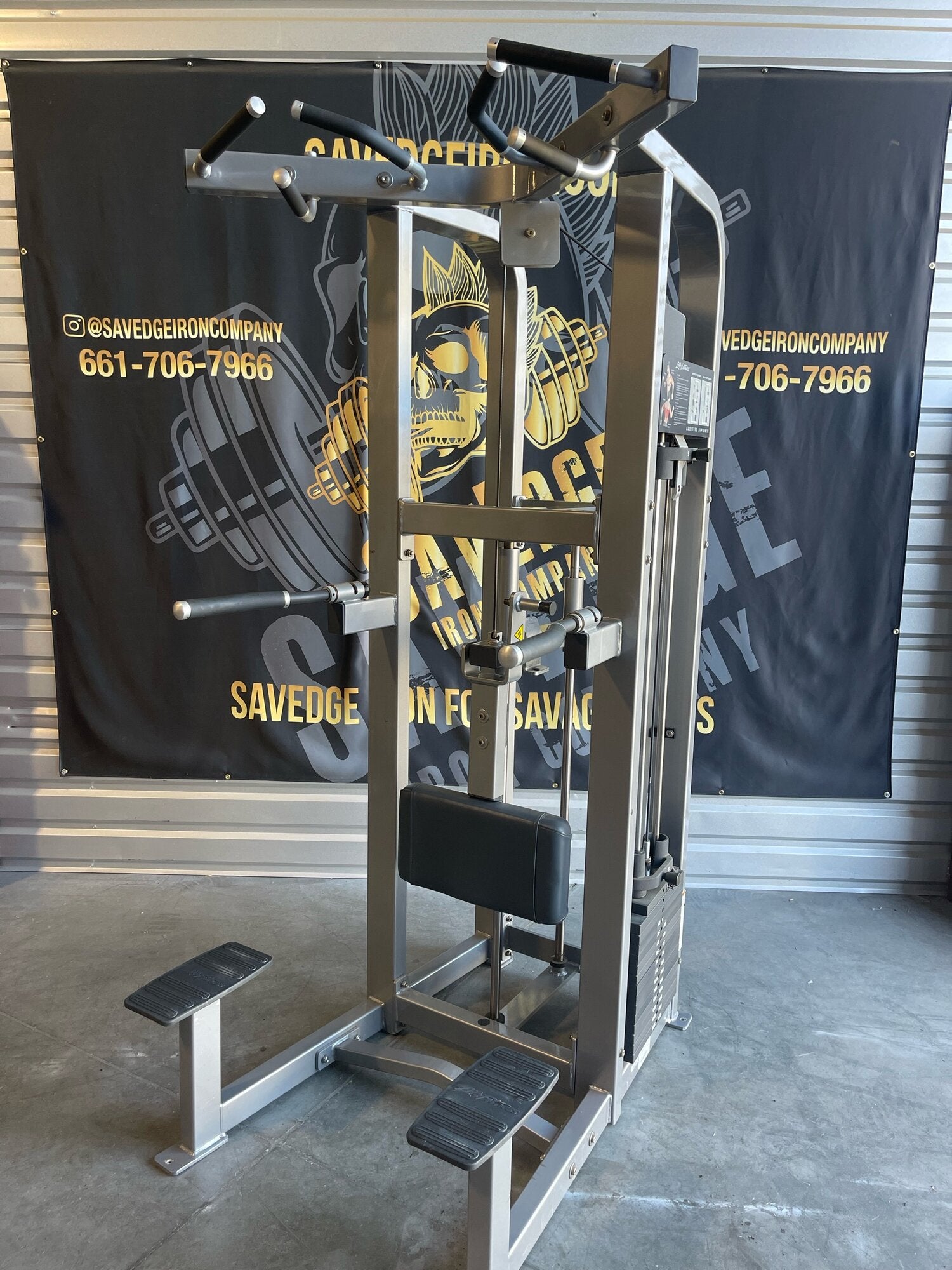Life Fitness Pro 2 Assisted Dip/Chin Up