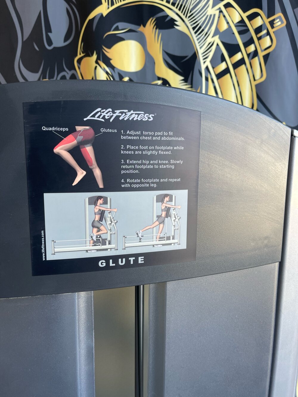 Life Fitness Signature Glute Kickback