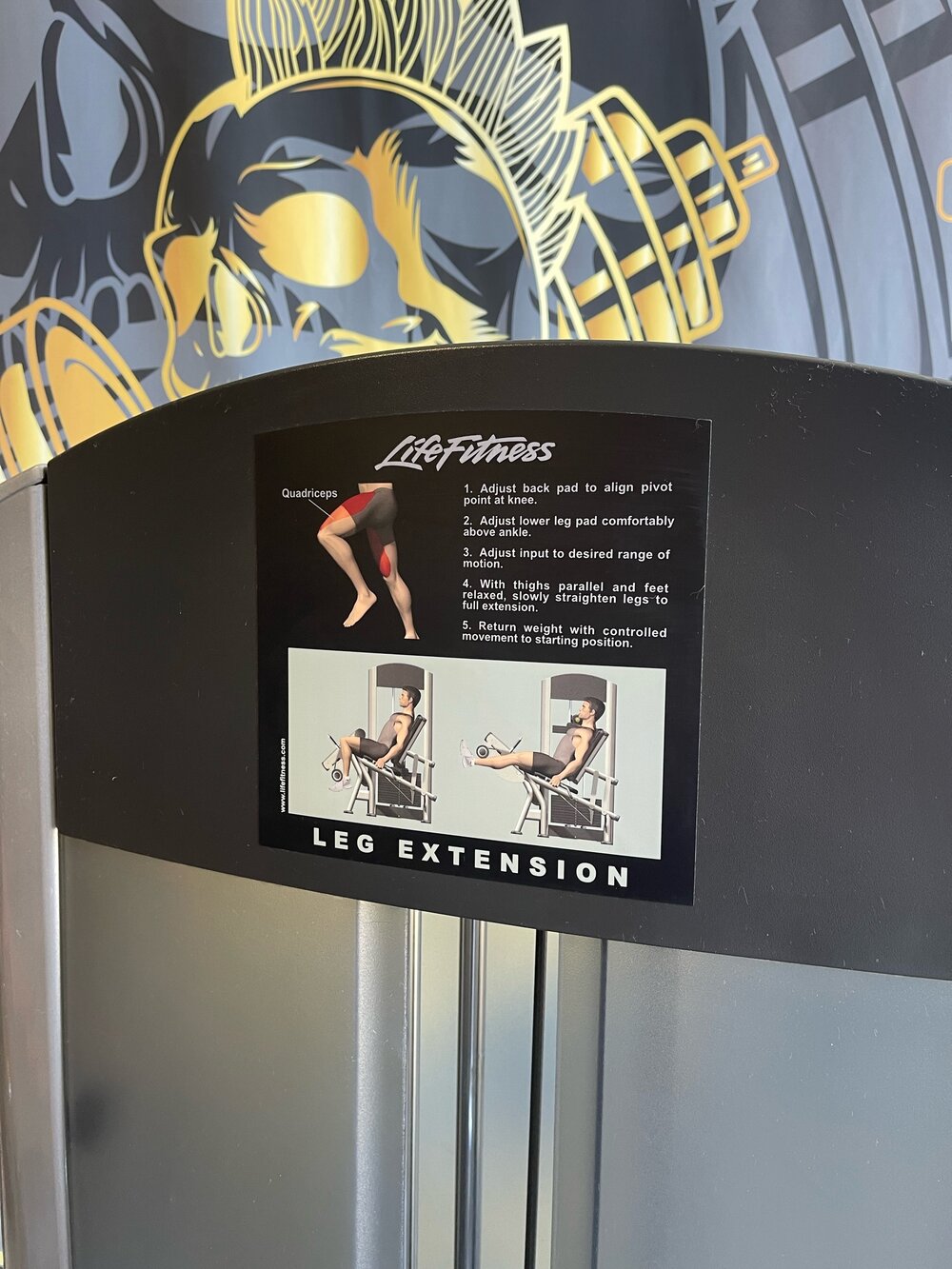 Life Fitness Signature Leg Extension