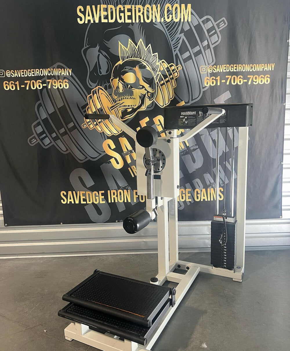 cybex multi hip Paramount AP2900 Multi Hip – Savedge Iron Company