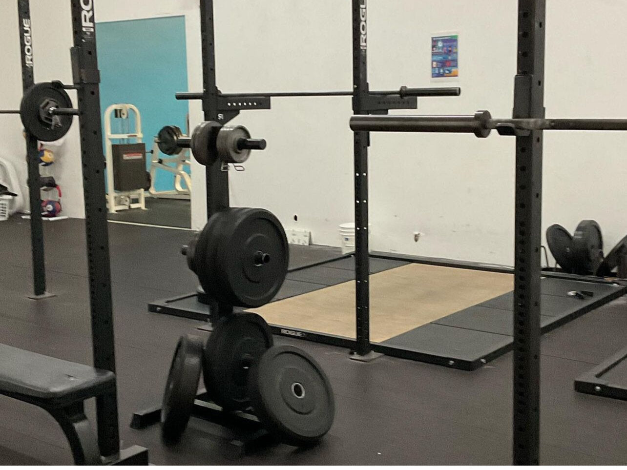 Rogue Monster 6 Station Cross Fit Rig