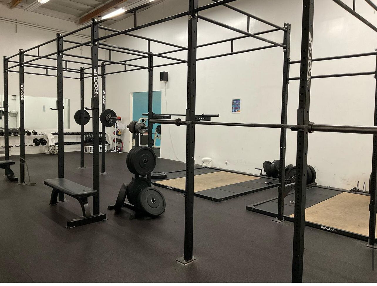 Rogue Monster 6 Station Cross Fit Rig