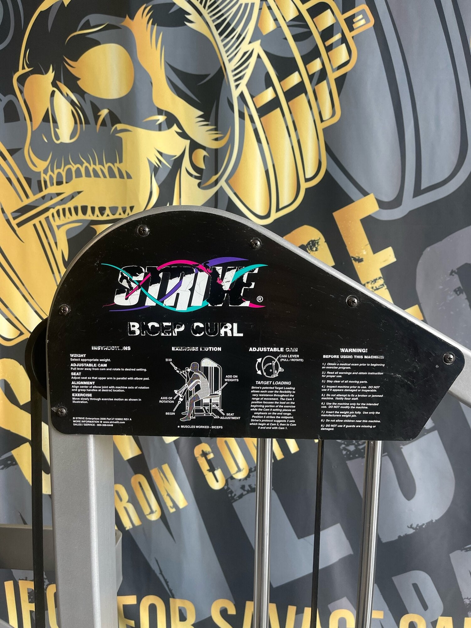 Strive Biceps Curl