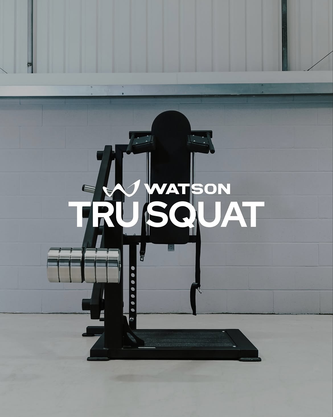 The Tru Squat