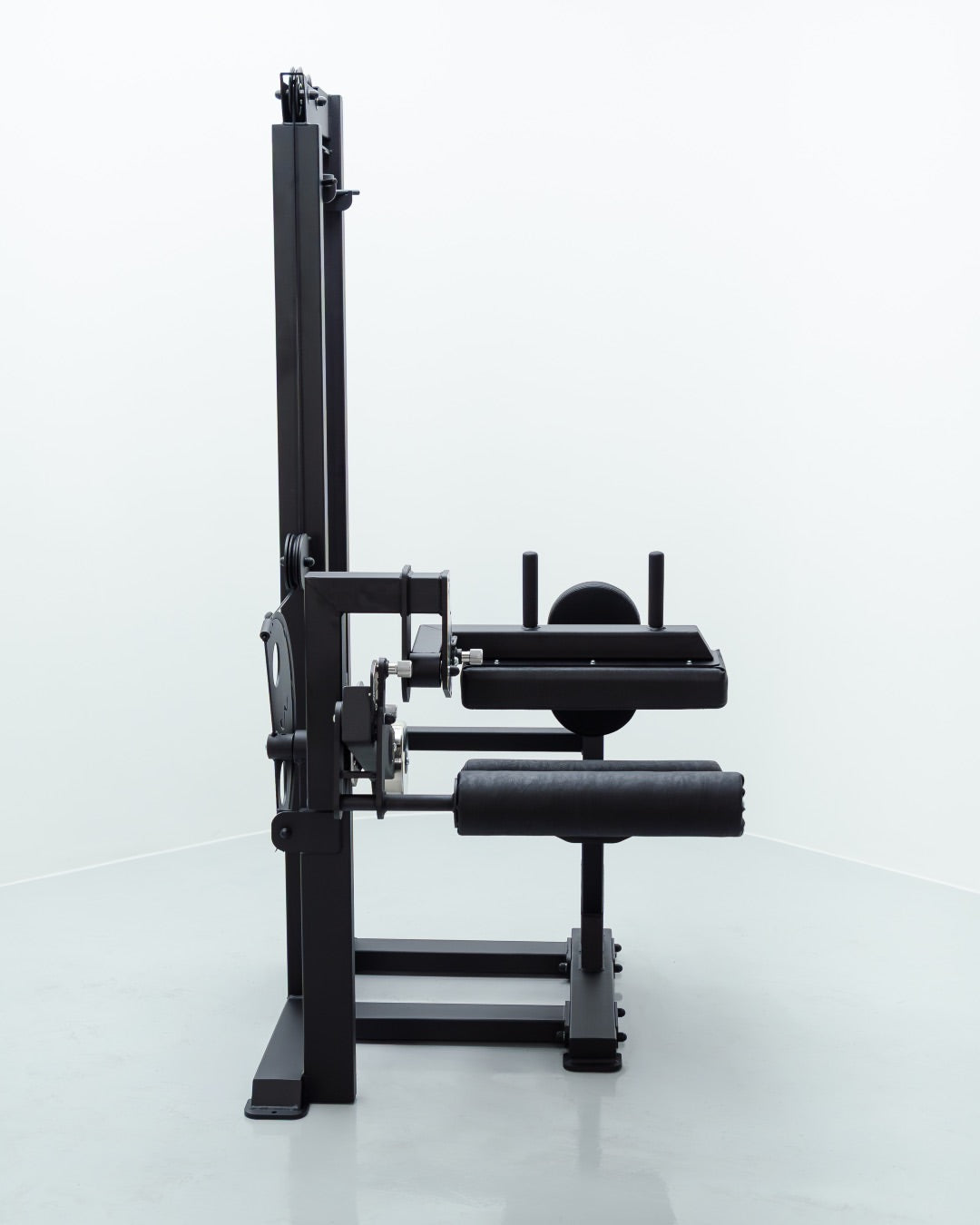 Seated Leg Curl.