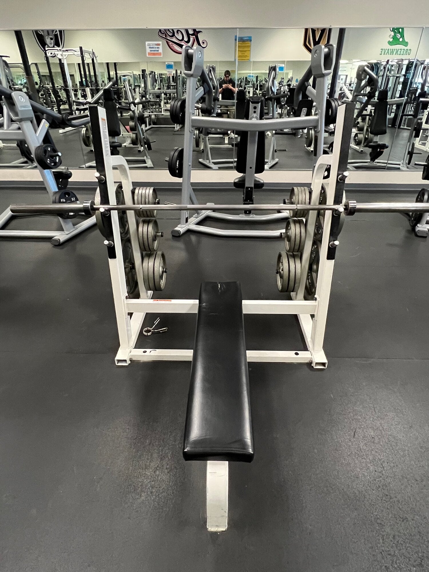 Paramount Olympic Flat Bench – Savedge Iron Company